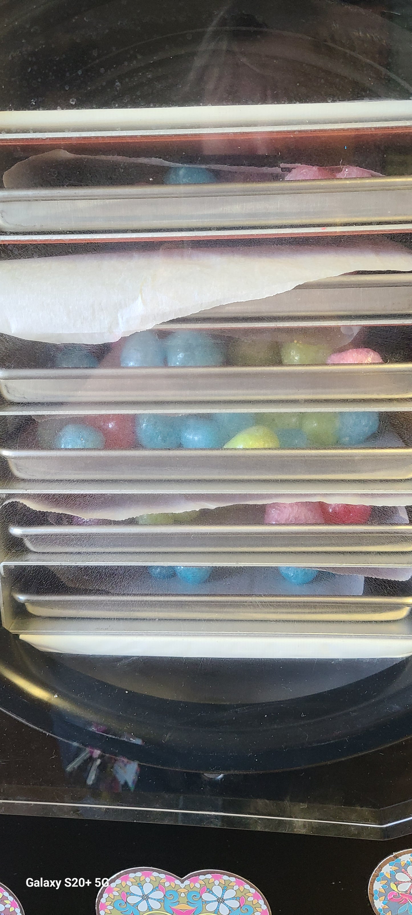 Freeze-dried Moon Rocks